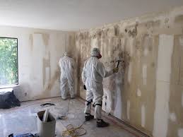 Best Environmental Consulting for Mold Prevention  in Kerman, CA